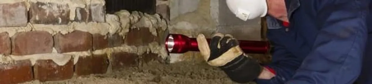 Pest control technician inspecting a crawl space for ant activity and entry points in Saint Petersburg, FL