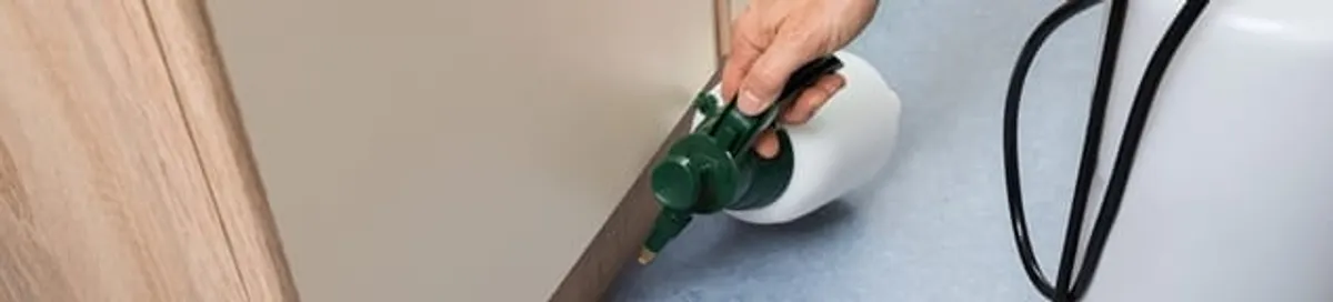 Bed bug exterminator treating baseboards and cracks with targeted spray in Saint Petersburg, FL