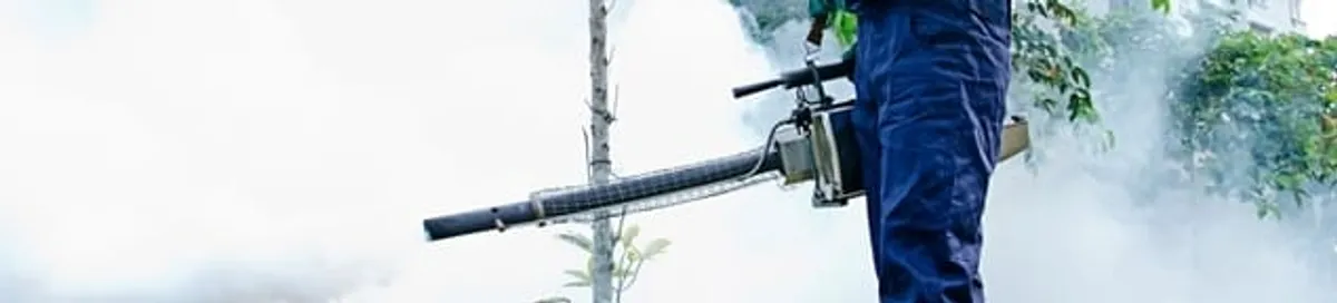 Pest control technician fogging an outdoor area for insect control in Saint Petersburg, FL