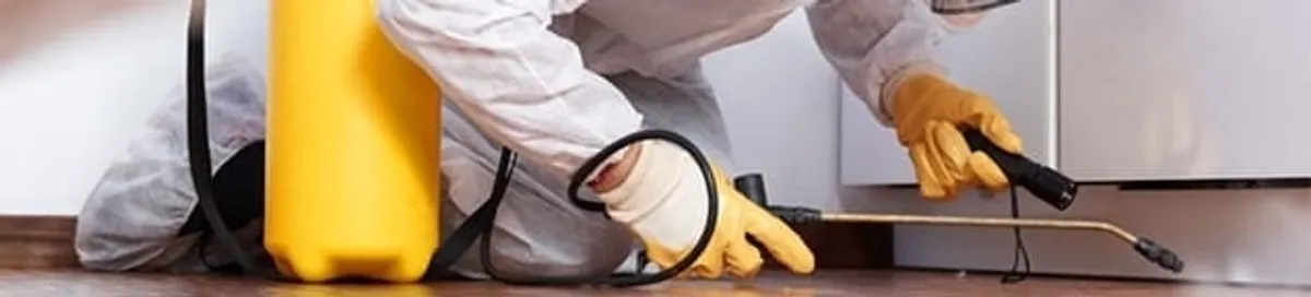 Roach exterminator treating cracks and crevices along kitchen baseboards in Saint Petersburg, FL