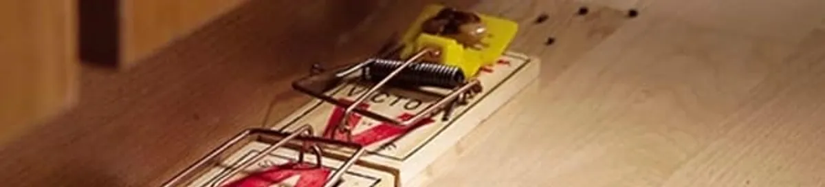 Rodent trap set indoors for rodent control and prevention in Saint Petersburg, FL